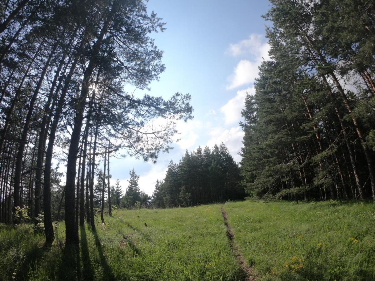 Carobni Breg Hotel Mokra Gora Bagian luar foto