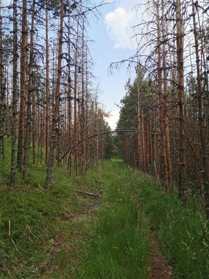 Carobni Breg Hotel Mokra Gora Bagian luar foto